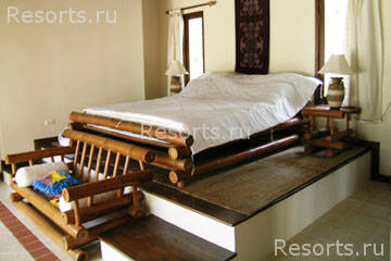 Coconut Paradise 24